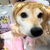 とってもお似合いです♡