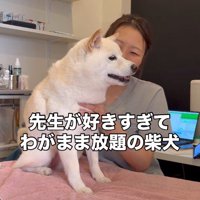 動物病院に来たココちゃん