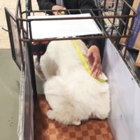 狭いけれど、強引にターン