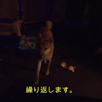 近づく様子を見せたそう