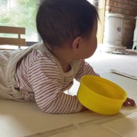わんこ先生に習ったよ♪
