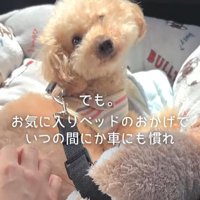 すいーぶ君の変化5