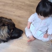 向かい合うふたり