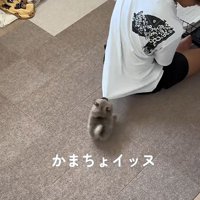 あまりにも可愛い…