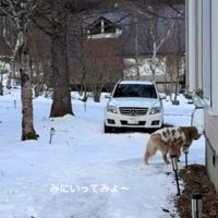 見に行ってみよう