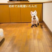 初めての靴にチャレンジ