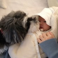赤ちゃんに気付いて、匂いをクンクン…