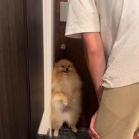 パパがでかけると勘違い