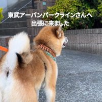 鉄道監視員のプロ