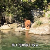 岩場を慌てて…