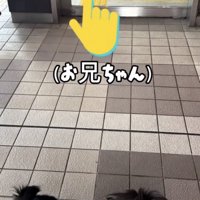 お兄ちゃん登場