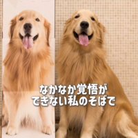 覚悟はできない…