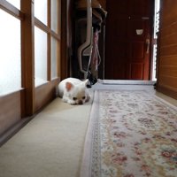 健気な姿が愛おしい♡