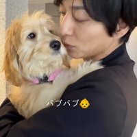子犬にキスをする男性