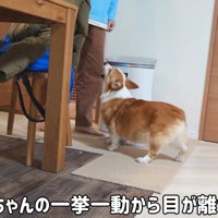 お兄ちゃんに夢中