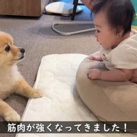 見つめ合う2人