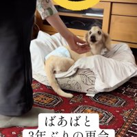 立ち上がろうとするなっちゃん