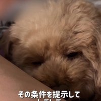 すっかり仲良しな関係に♡