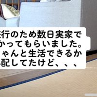 カメラ映像