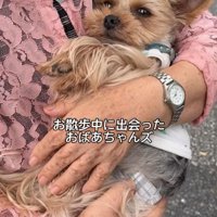 すっぽり腕の中へ！