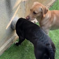 列になって順番を守る…♪