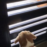 会いたい気持ちが滲み出てます