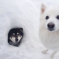 微笑ましすぎる