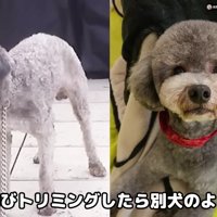 生まれ変わった姿に感動！