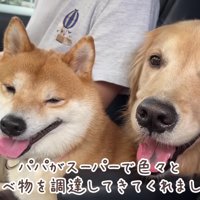 久しぶりのピクニックへ