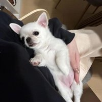 成長が楽しみすぎます