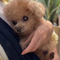 必死に体を寄せる姿も♡