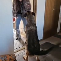 お姉ちゃんと犬1