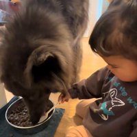 娘さんがお世話をしたがると…