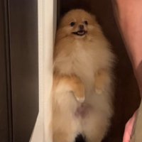 二本足で阻止！！