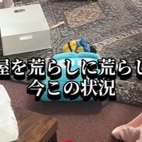 遊んでいるうちに部屋が荒れ放題に！