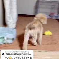 「嬉しいお知らせがあります」
