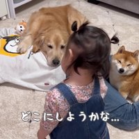 歩き疲れてぐったり