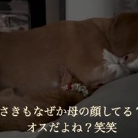 まるで親子みたい