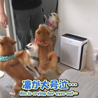 ついにお兄ちゃんと再会