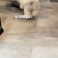 再びお姉さんのもとへ