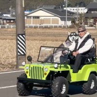 サングラスをかけてミニカーに乗るハスキー犬と男性