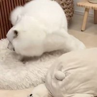 散歩