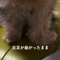 左足が少し曲がっていた