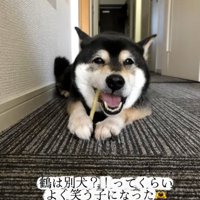 笑顔の鶴ちゃん