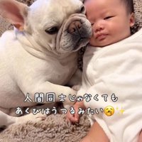 尊い光景にほっこり♡