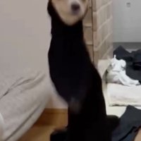 立った！！
