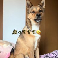 毎回の恒例行事
