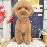 ふんわりもこもこに