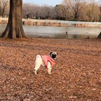 二度見する鱈ちゃん