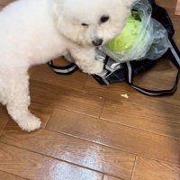 おから君の行動3